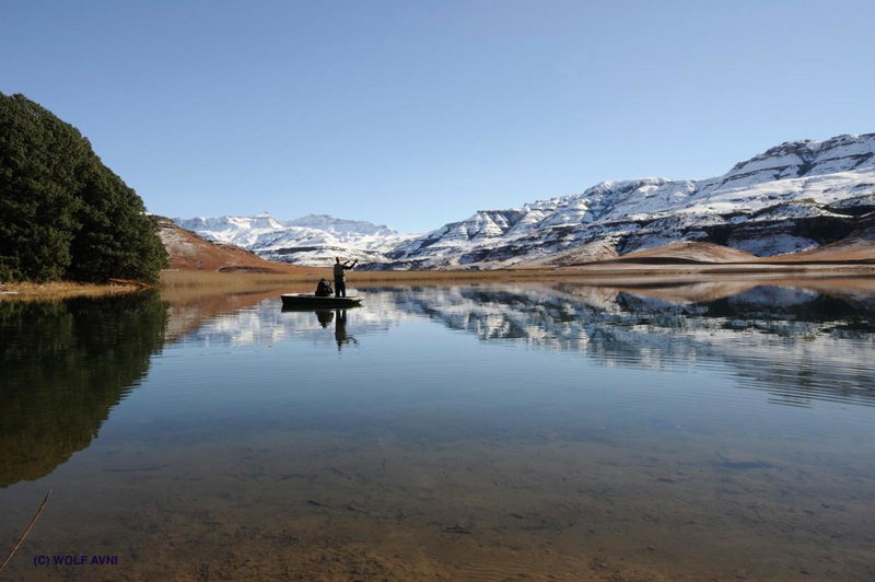 Giantscup Wilderness Reserve, Underberg, South Africa