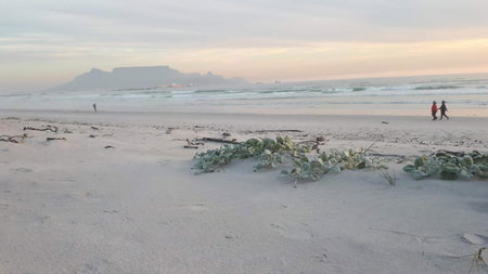 Dolphin Inn Blouberg, Bloubergstrand, South Africa