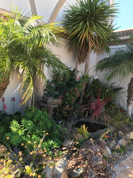 Bay Breeze Guesthouse Selfcatering, Gordonʼs Bay, South Africa