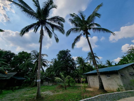 California Breeze Campsite, Indang, Philippines
