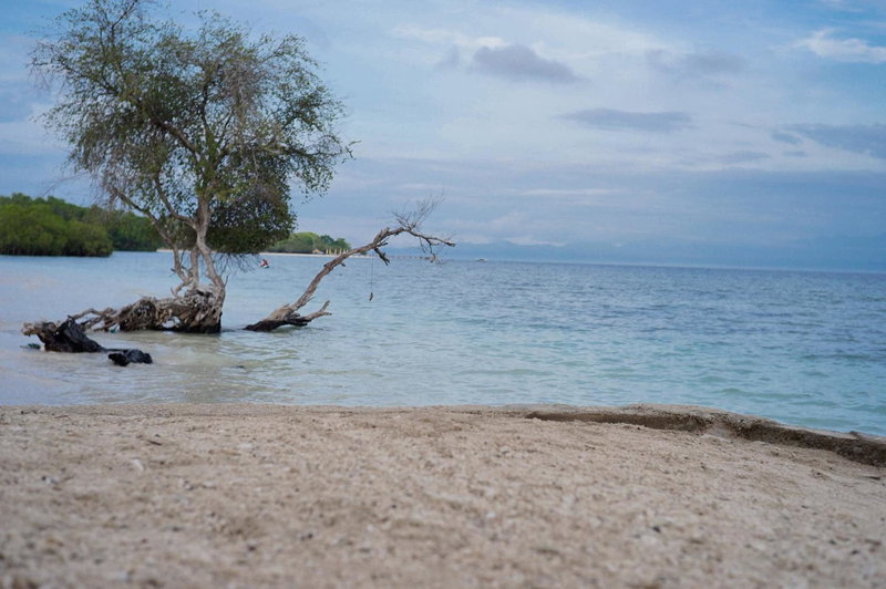 Yut's Inn Flower Paradise Gili Gede, Gili Gede, Indonesia