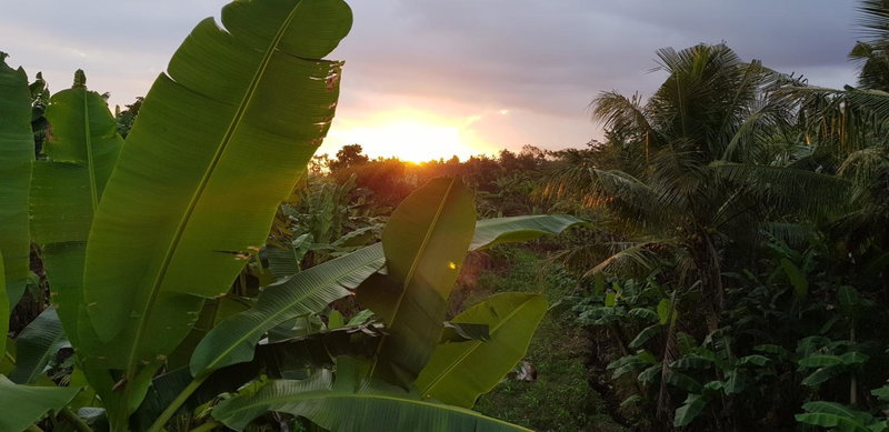 Ayumar Homestay Medewi, Pulukan, Indonesia