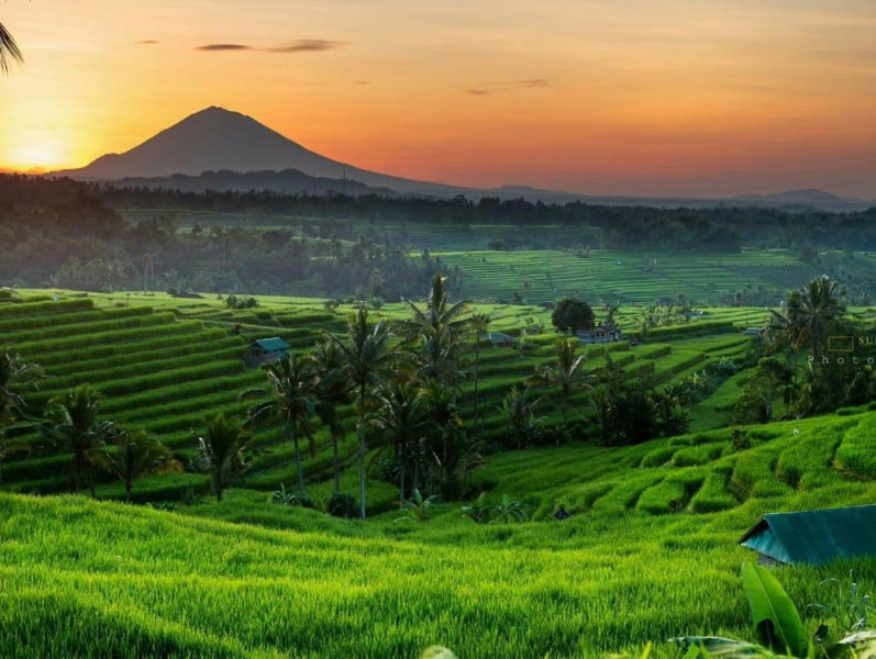 Buruan Sari Villas by AGATA, Tabanan, Indonesia