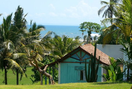 Balian Prana, Selemadeg, Indonesia