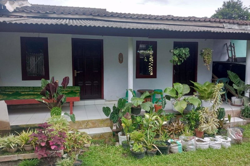 Homestay Wijaya Mulya, Magelang, Indonesia