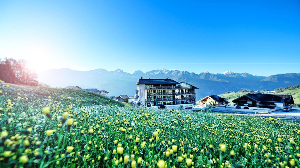 Alps Lodge, Austria