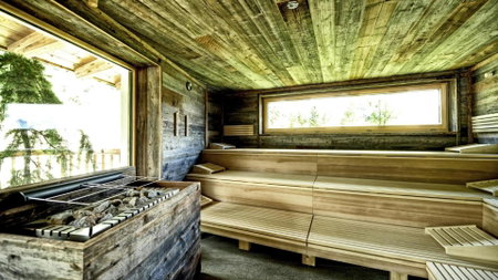 Alps Lodge, Fiss, Austria