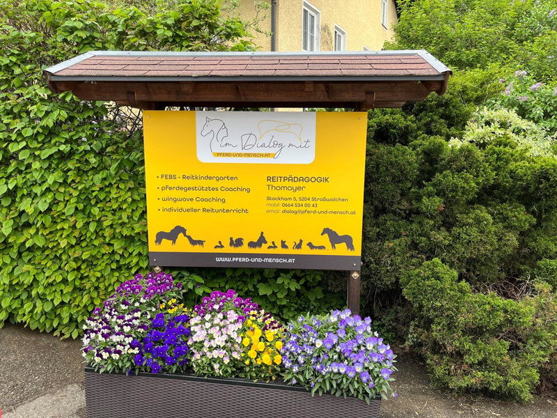 Pferdehof Thomayer, Strasswalchen, Austria