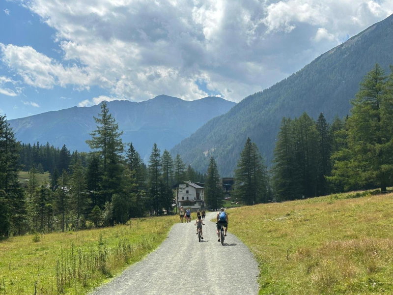 AH Carinthia Mallnitz - Carinthia Appartements, Mallnitz, Austria