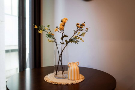 The Alpha Nest Stylish 1BR in Central Wellington, Wellington, New Zealand