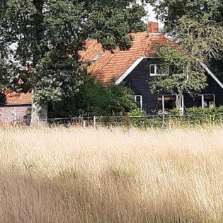 boerderijkamer Zwanebloem, Onstwedde, The Netherlands