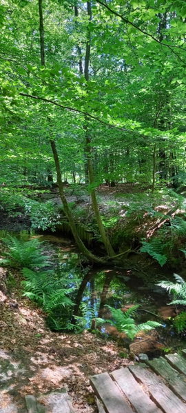 't Hertje, Ermelo, The Netherlands