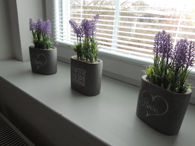 Černý Tulipán - Apartmán 4, Plzeň, Czechia