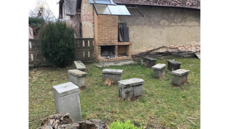 KEMP a stanování na faře, Javorník, Czechia