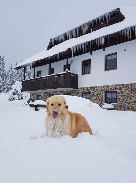 Pension Helena Honesová, Horská Kvilda, Czechia