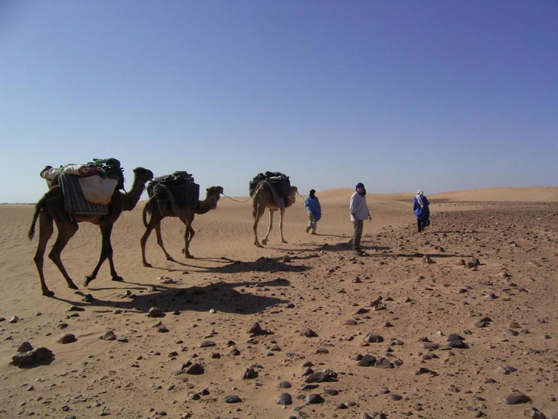 Fibule Du Draa Kasbah D'hôtes, Zagora, Morocco