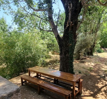 Gîte Camping Amazigh, Azrou, Morocco