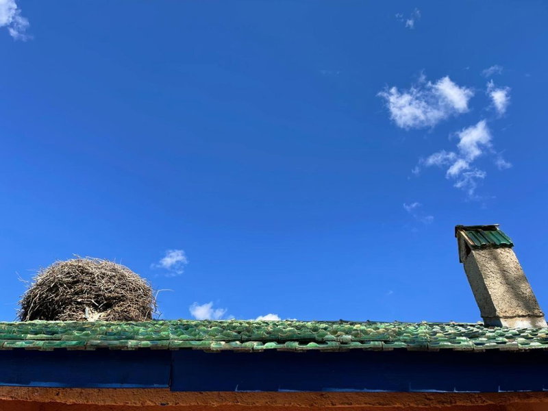 Gîte Camping Amazigh, Azrou, Morocco