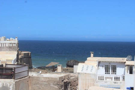 zazou, Essaouira, Morocco