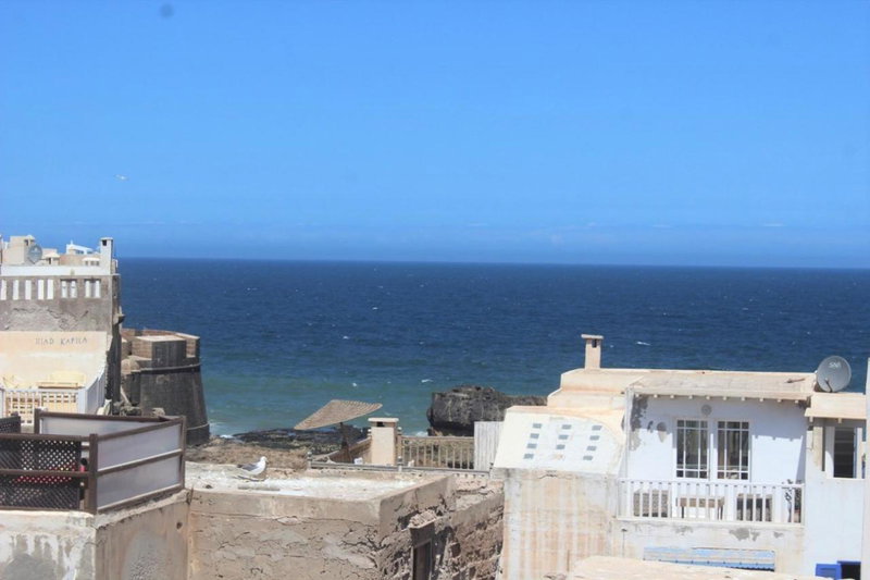 zazou, Essaouira, Morocco