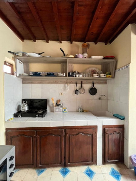 zazou, Essaouira, Morocco