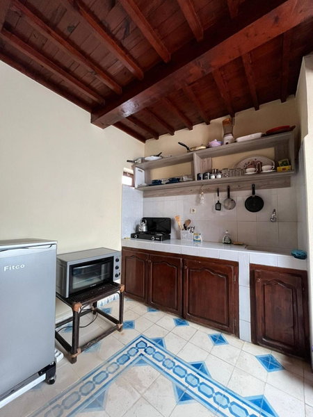 zazou, Essaouira, Morocco