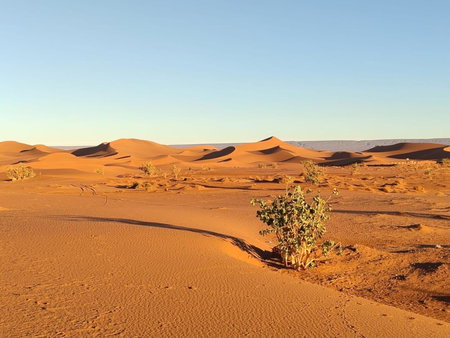 Camp Desert Bivouac Chegaga, El Gouera, Morocco