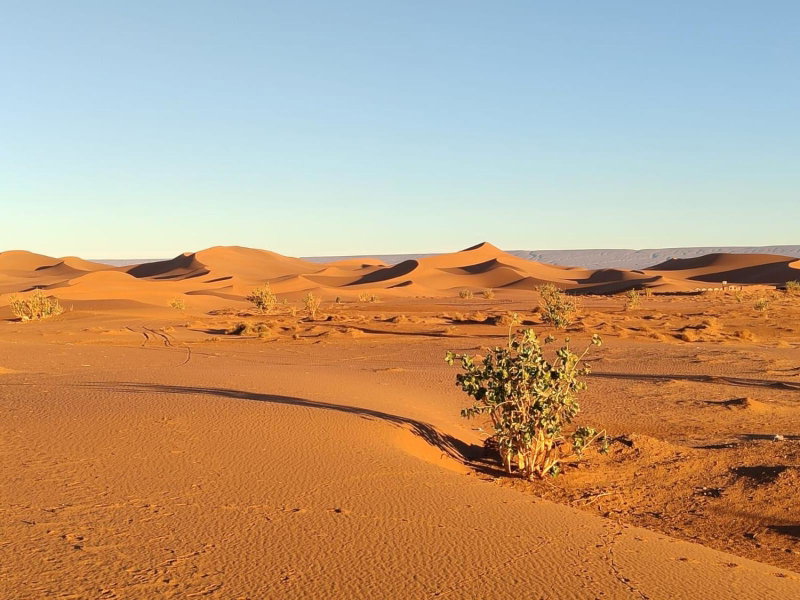 Camp Desert Bivouac Chegaga, El Gouera, Morocco