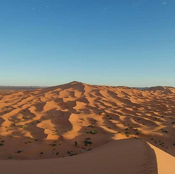 Camp Desert Bivouac Chegaga, El Gouera, Morocco