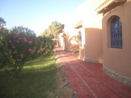 Hamada Du Draa, Mhamid, Morocco