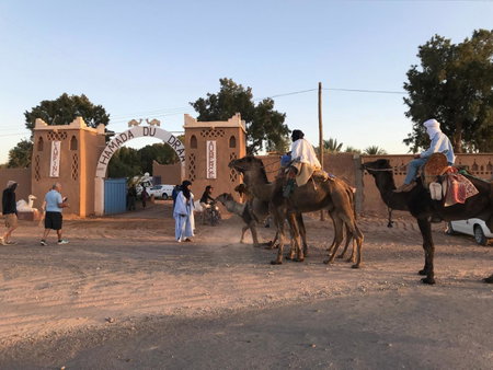 Hamada Du Draa, Mhamid, Morocco