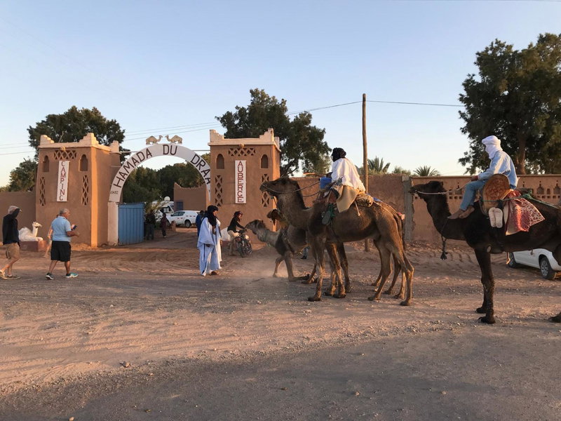 Hamada Du Draa, Mhamid, Morocco