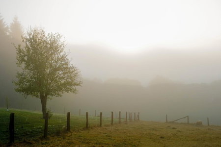 Ardenne essentielle, Daverdisse, Belgium