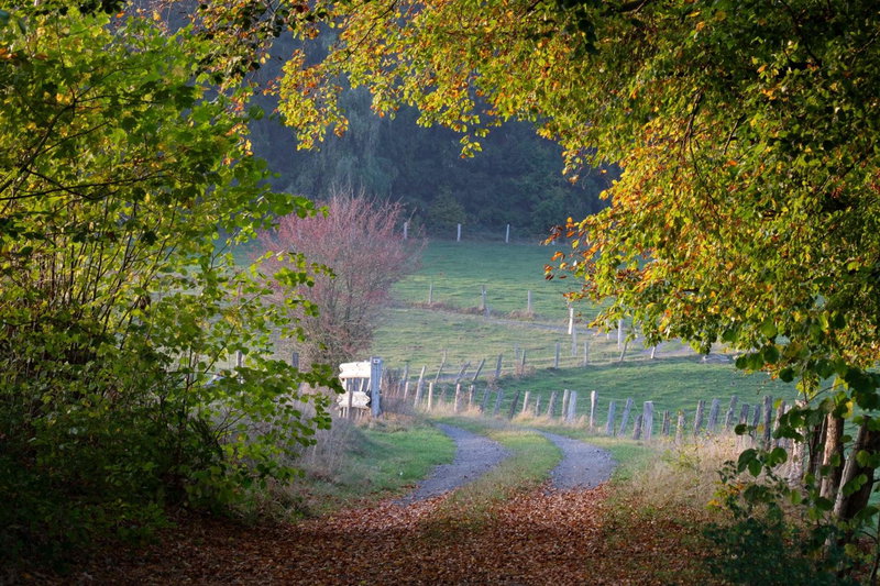 Ardenne essentielle, Daverdisse, Belgium