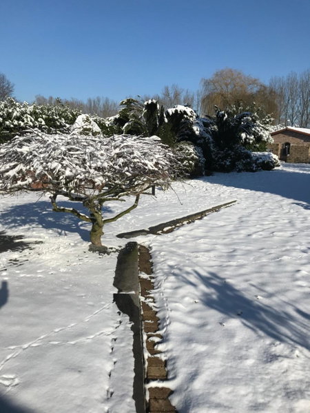 Aquavilla Bed & Breakfast, Willebroek, Belgium