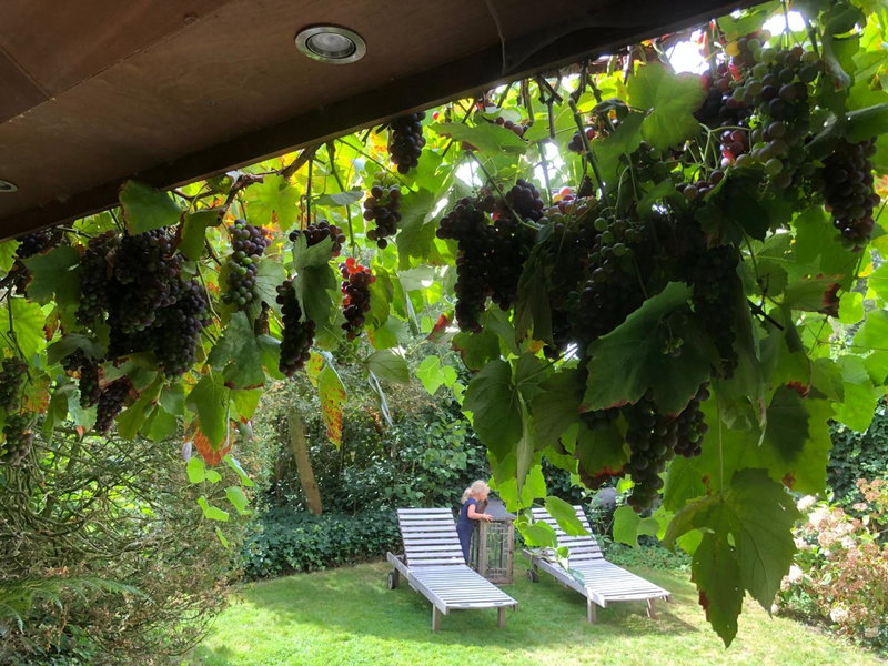 Beaux Temps b&b, Aalter, Belgium