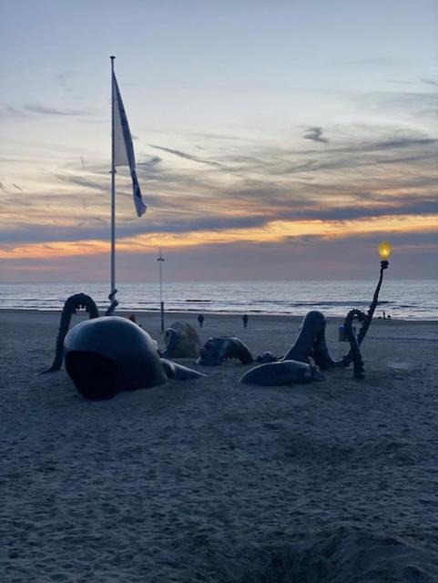 Depannemarkt, De Panne, Belgium