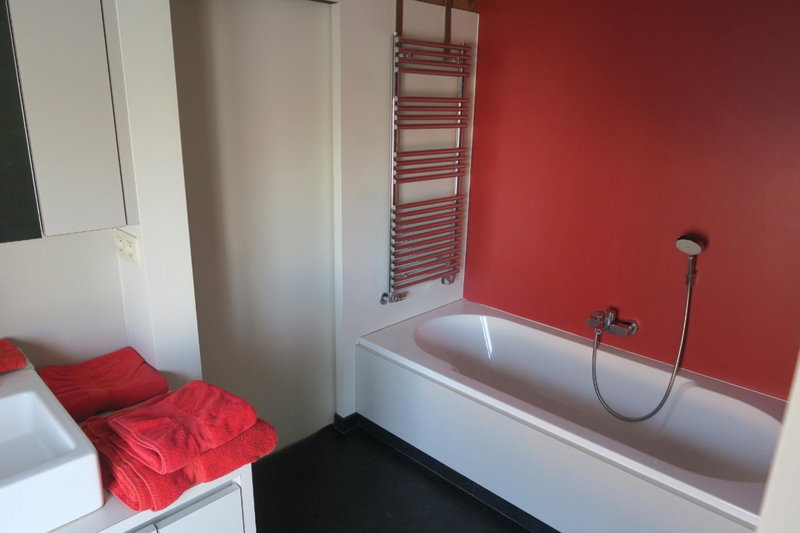 B&B / Studio De Druivelaar in hartje Kluisbergen (Berchem), Kluisbergen, Belgium