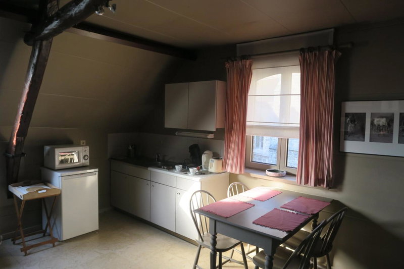 B&B / Studio De Druivelaar in hartje Kluisbergen (Berchem), Kluisbergen, Belgium