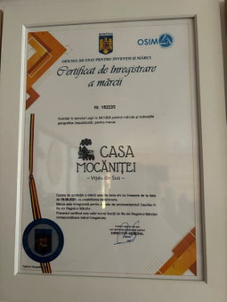 Casa Mocanitei, Vişeu de Sus, Romania