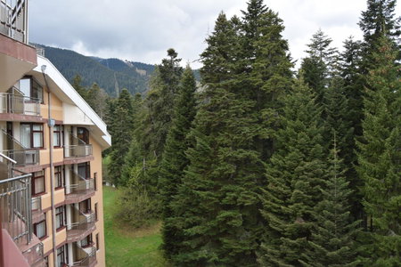 Persey Flora Apartments, Borovets, Bulgaria
