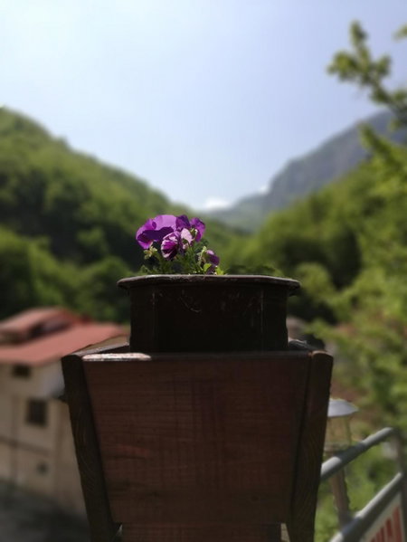 Дом Бакалски-Кмета, Narechenski Bani, Bulgaria