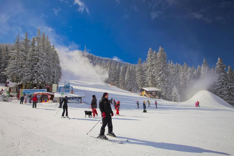 VIVA Flora apartment 607A, Borovets, Bulgaria