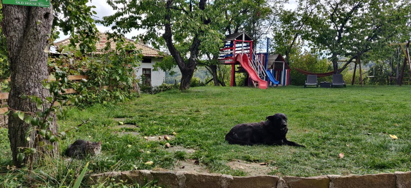 Старата къща - Трявна, Tryavna, Bulgaria