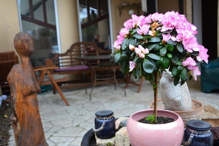 Art Styles Boutique Apartment Szentendre, Szentendre, Hungary
