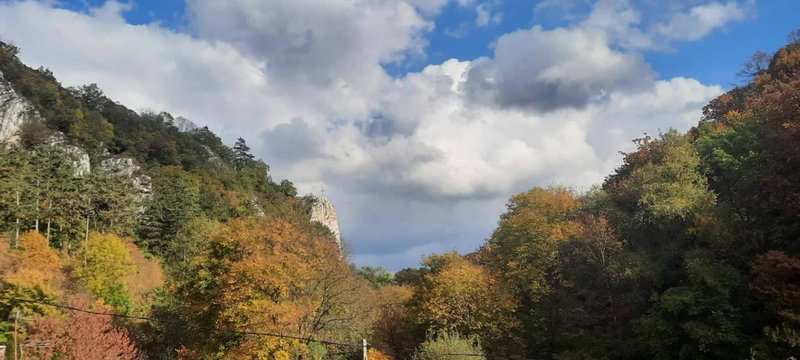 Hámori Álom, Miskolc, Hungary