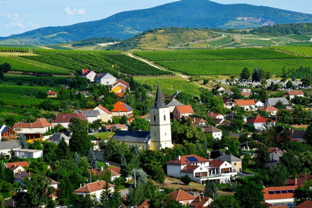 Demetervin, Mád, Hungary