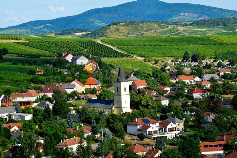Demetervin, Mád, Hungary