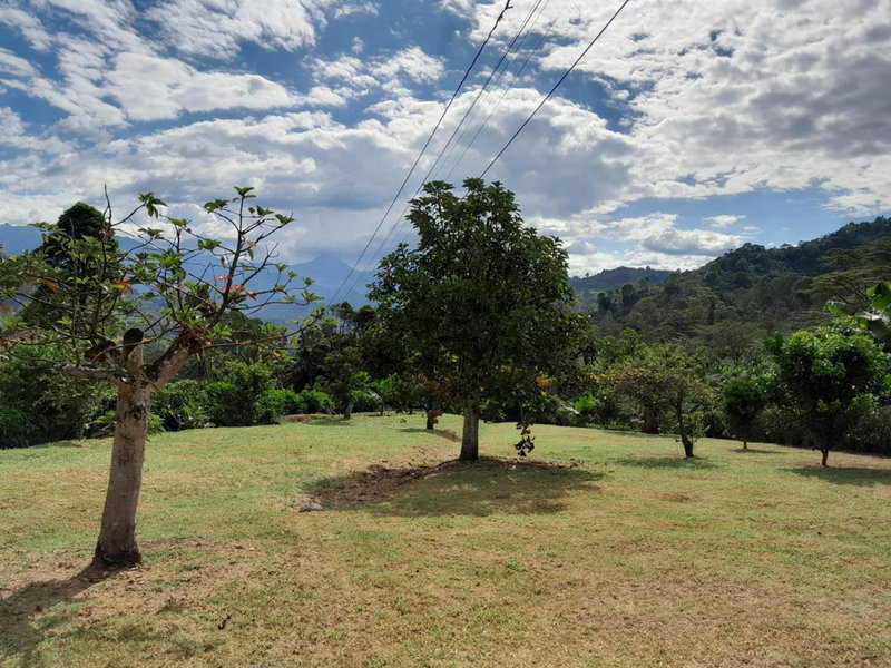 Hotel Embrujo Campestre, Jardin, Colombia