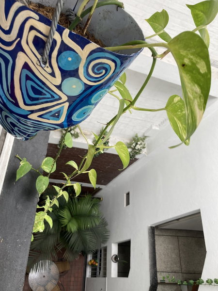 Refugio Llanero Hotel, Villavicencio, Colombia
